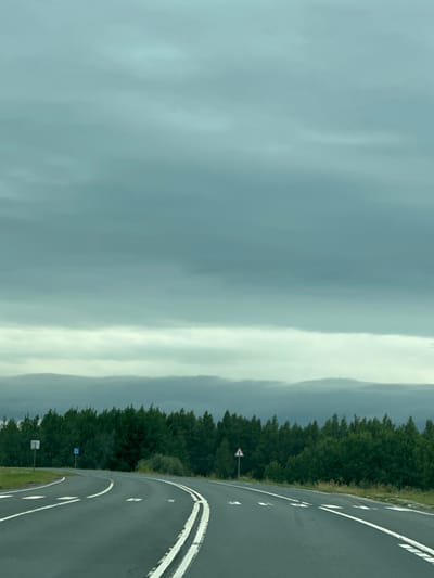 An asphalt road curves to the left, with white lane markings and directional arrows indicating the path. On the left side of the road, a sign with a blue symbol of a car and a house stands near a white signpost. Further along the road, a triangular warning sign with a red border and a black symbol is visible. A dense line of dark green trees forms the horizon behind the road, with a dramatic, cloudy sky overhead. The scene appears to be located in or near Rep'evka, Russia, as suggested by the context provided.