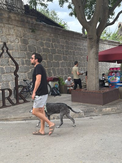 A man with dark hair and sunglasses is walking a dog on a paved street in Krk, Croatia. He is wearing a black t-shirt and striped shorts. The dog is a medium-sized, grey-and-black dog with its tail held high. In the background, there is a stone wall with a wrought-iron fence on top, a tree, and a building with a red awning. A man in a light green shirt is carrying a tray of glasses, and another man is sitting at a table. There is also an ice cream vendor with a colorful stand. The overall scene depicts a casual day in a European town.