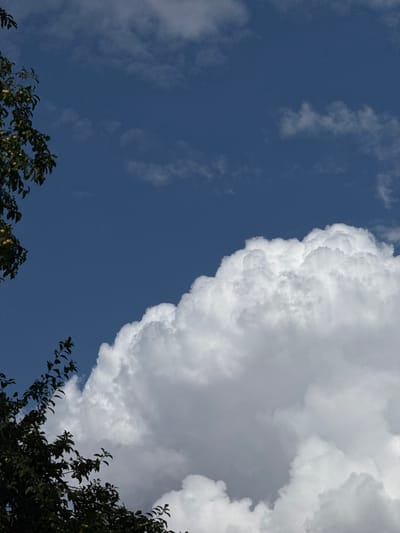 The image displays a clear blue sky on a sunny day, with a large, fluffy white cumulus cloud dominating the lower right portion of the frame. On the left side of the image, branches of a dark green tree, possibly an apple tree with small green fruits, extend into the frame from the top and bottom. The setting appears to be outdoors, with no visible human presence or activity. The overall scene is natural and serene, indicative of a pleasant weather day in Troitske, Ukraine.