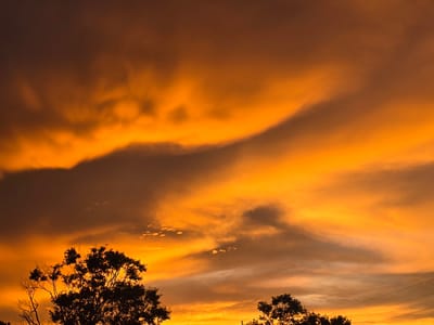 A silhouette of trees is visible against a dramatic sky during sunset. The clouds are painted in shades of orange and yellow, with darker, shadowy clouds creating contrast. The scene appears to be a natural landscape, possibly on the outskirts of a city, given the presence of utility lines in the lower right corner. There are no people or discernible actions taking place in the image. The location is identified as Woodstock, United States of America.
