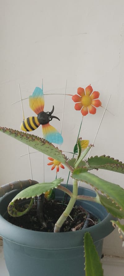 This media file features a close-up, eye-level shot of a potted plant on a surface, possibly a windowsill, against a plain, light-colored wall. The plant is a succulent with fleshy, serrated leaves and a thick stem. In the background, there are decorative metal garden ornaments: a bumblebee with yellow, black, blue, and orange wings and a small orange flower with a yellow center. The bumblebee is perched on white wire stakes, as is the orange flower, which is positioned to the right of the bee. The overall scene is bright, suggesting daytime, and the plain wall and pot indicate an indoor or sheltered outdoor setting. There are no people or visible text in the image. The context provided places the location in Абалак, Russia, though this cannot be inferred from the image itself.