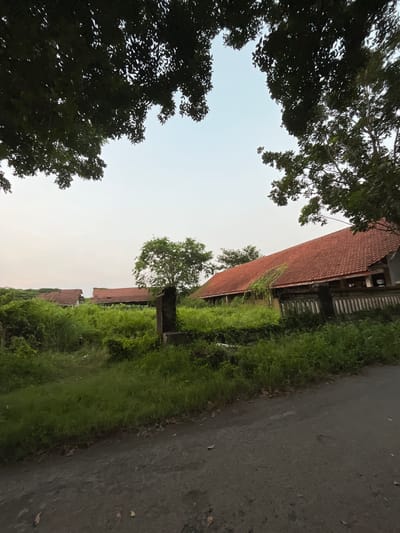 The image depicts a rural scene in Besuki, Indonesia. On the left, lush green trees with dark leaves frame the sky, which is a pale, overcast white, suggesting an early morning or late afternoon. To the right, a long, low building with a terracotta tile roof stretches into the distance. Its windows appear to be open slats or louvers, characteristic of some Indonesian architecture.

Adjacent to the building is a strip of vibrant green grass and foliage, which seems to be growing wild and untamed. A rough, dark asphalt road runs alongside the grass, indicating a path or thoroughfare. A single, dark, rectangular post stands in the grassy area near the building, its purpose unclear. The overall impression is one of a quiet, somewhat overgrown rural settlement, possibly abandoned or neglected. The lighting is soft and diffused, contributing to a serene, perhaps slightly melancholic atmosphere. There are no people visible in the frame, and no text is discernible.