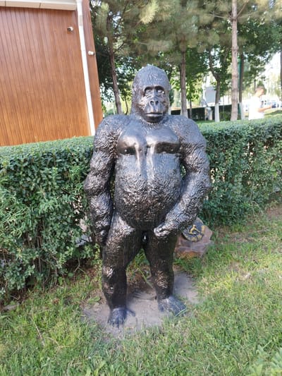 A life-sized statue of a gorilla stands upright on a patch of grass. The statue is dark in color and appears to be made of metal with a textured surface mimicking fur. It is positioned in front of a manicured green hedge. Behind the hedge, trees with green foliage are visible, along with a wooden building on the left side of the frame. The ground in front of the statue is covered with grass and some dirt. To the right and slightly behind the gorilla statue, a man wearing a white shirt is walking away from the camera. The scene appears to be outdoors in a park or garden setting, possibly in the city of Kenbulun, Kyrgyzstan.