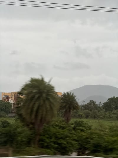 The image captures a blurred outdoor scene, likely taken from a moving vehicle, under an overcast sky. In the foreground, a large, out-of-focus palm tree dominates the left side of the frame. To its right, a smaller, also blurred palm tree is visible. Behind these trees, a light yellow and brown building complex, appearing somewhat dilapidated with visible external pipes and scaffolding, is situated.
Further in the background, a lush green landscape unfolds with dense foliage and trees, characteristic of tropical or subtropical vegetation. In the distance, hazy, muted green hills form a backdrop against the cloudy sky. Power lines are strung across the top of the image. The overall impression is of a somewhat gritty, urban fringe environment with signs of development juxtaposed with natural, overgrown landscapes. The blurriness suggests motion, and the grey sky indicates a potentially humid or rainy day. The specific location within Palghar, India, is not identifiable from visual cues alone, but the presence of tropical vegetation and building styles is consistent with the region.