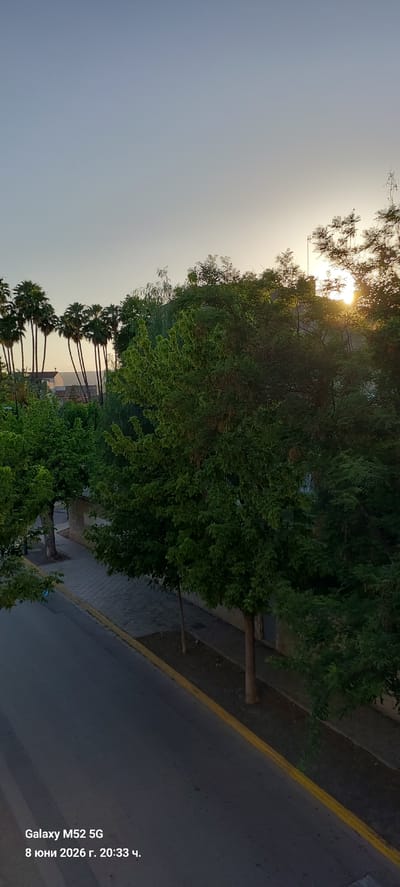 The image shows a street scene in the city of Canals, Spain, at sunset. The sun is low on the horizon, casting a warm glow over the scene. Palm trees and other trees line the street, and there are buildings in the background. The road is paved and has a yellow curb. There are no people visible in the image. The text overlay indicates that the photo was taken with a Galaxy M52 5G on June 8, 2026, at 8:33 PM.