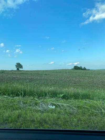 The image shows a wide, open field under a bright blue sky with scattered white clouds. The field is covered in green grass and some patches of darker, dry vegetation. In the distance, a solitary, large tree stands on the left side of the frame, and a cluster of trees is visible further to the right. The horizon line is low, with the sky occupying the majority of the image. The foreground shows a blurred section of green vegetation, suggesting the photo was taken from a moving vehicle. The scene appears to be a rural landscape, likely in or near the city of Bol'shoe Koshaevo, Russia, given the context.