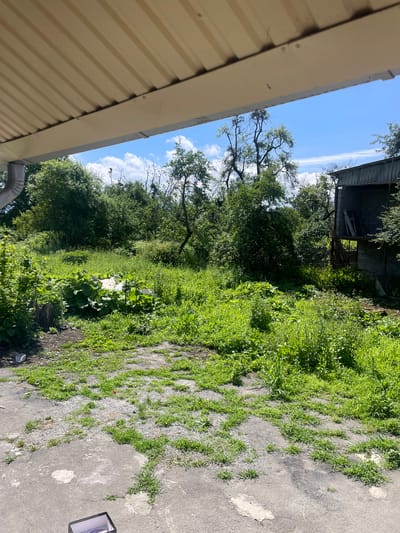 The image depicts an overgrown outdoor area. In the foreground, a cracked concrete surface is partially covered with patches of gravel and sparse grass. To the left, a downspout is visible attached to a light-colored corrugated metal overhang. Beyond the concrete, a dense area of lush green vegetation, including large-leafed plants, dominates the scene. In the middle ground, a pile of debris, including what appears to be white fabric and light-colored sheeting, is visible amidst the foliage. Further back, a dilapidated, multi-story structure constructed of grey cinder blocks and corrugated metal siding stands to the right, with an open doorway on the lower level and a second-story opening. The background features a dense line of trees and shrubs under a bright blue sky with scattered white clouds. The scene appears to be located in a rural or semi-rural setting, possibly on the outskirts of Alagir, Russia, given the context. No people are present in the image.