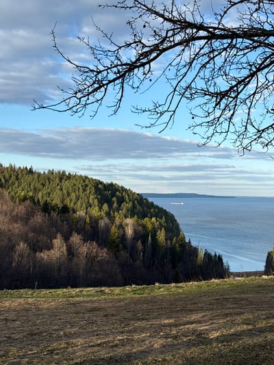 A landscape photograph taken from a high vantage point shows a body of water bordered by a forested hillside and a harvested field. The sky is partially cloudy with a tree branch in the foreground. A small boat is visible on the water. The location is consistent with a rural or semi-rural setting, but cannot definitively place it in Galevo, Russia. No people are visible.