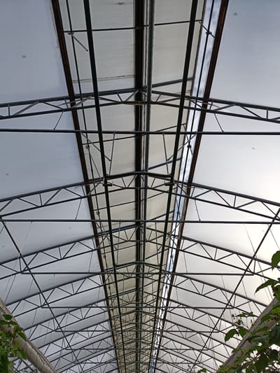 The image shows the interior ceiling of a greenhouse, looking upwards. The ceiling is constructed of a metal truss system covered with translucent sheeting. The sheeting is divided into sections, with some areas appearing more opaque or ribbed than others. There is a central ridge where the sheeting meets, and a pipe runs along this ridge. In the foreground, on the right side, the top of some green plants is visible. The overall lighting suggests it is daytime, with natural light filtering through the ceiling. The image does not contain any people or indicate any specific activity. The location is identified as Tuusniemi, Finland.
