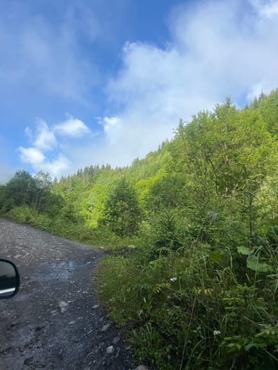The image shows a view from a dirt road in the mountains of Yasinya, Ukraine. The road is rough and appears to be wet in places, with rocks and dirt visible. To the right of the road, dense green foliage and trees cover a steep hillside that rises towards the sky. A few small white wildflowers are scattered amongst the grass and vegetation. In the upper portion of the image, a bright blue sky is visible, dotted with white, puffy clouds. The overall scene depicts a natural, uncultivated environment, likely a rural or mountainous area. A side mirror of a vehicle is visible on the lower left of the image, indicating the photo was taken from a car.