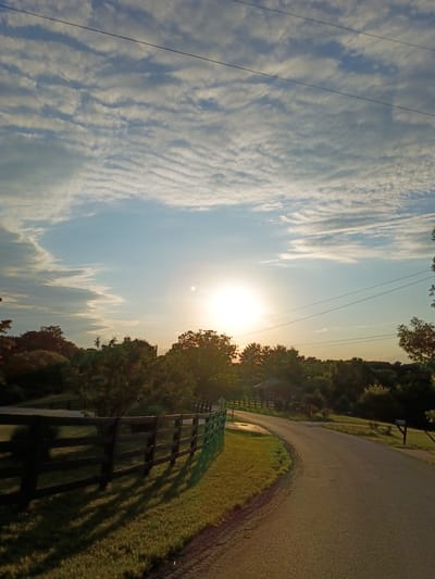 The image depicts a road curving through a rural or suburban landscape at sunset. The sky is a light blue with a dense layer of scattered, wavy clouds that are illuminated by the setting sun, which appears as a bright orb near the center-right of the frame. Power lines are visible stretching across the upper portion of the sky. In the foreground, to the left, is a dark wooden fence with posts spaced apart, casting long shadows across a grassy area. The road itself is asphalt and curves towards the right, disappearing into a treeline. Beyond the road, on the right, is a mailbox. A few scattered houses and more trees are visible in the background. The overall impression is a peaceful, late afternoon or early evening scene. The specific location in Berea, United States of America is not identifiable from the visual information provided.