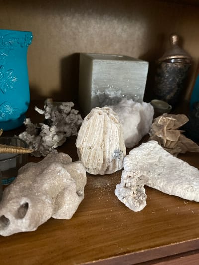 The image depicts a collection of natural objects, likely shells and coral fragments, arranged on a wooden shelf. To the left, a bright turquoise vase with embossed snowflake patterns is visible. Behind the shells, a light-colored, rectangular object, possibly a candle or a block of crystal, sits on the shelf. Further to the right, a dark decorative vessel with a metallic lid is present. The overall scene appears to be indoors, possibly a home or a display in a museum or shop. No people are visible. The location is not specified in the image or metadata.
