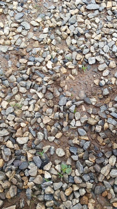 This media file captures a close-up, overhead view of a ground surface covered in gravel and dirt, likely in Balewa, Nigeria. The scene is a natural setting, with no people visible. The primary subjects are the various sizes and colors of the stones, ranging from light tan and beige to dark gray and black. Interspersed with the gravel are patches of wet, reddish-brown mud, suggesting recent rain or damp conditions. Small, green weeds and blades of grass are sparsely scattered throughout the scene, indicating a natural, possibly unkempt, outdoor environment.
There is no specific activity or event taking place; the image appears to be a static depiction of the ground. Notable details include the texture of the stones, which appear rough and varied, and the wetness of the mud, which creates a slightly reflective surface in some areas. The lighting suggests it could be daytime, but the specific time of day is not discernible. The presence of the wet mud and sparse vegetation are the main location cues, pointing towards a natural ground cover in a region that experiences rainfall. There are no visible text elements in the image. The overall impression is one of a simple, textured natural ground.