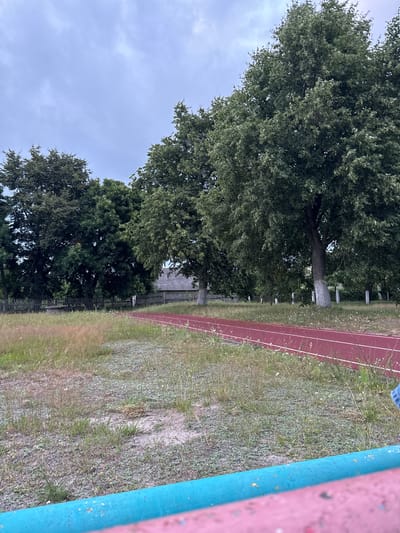 The image depicts an outdoor scene in the Сароцкі сельскі Савет, Belarus. In the foreground, a brightly colored railing, predominantly turquoise and pink, partially obscures the view. Beyond the railing, a red running track with white lane markings extends into the distance, bordered by overgrown grass and sparse vegetation with small white flowers. Several large, mature trees with dense green foliage dominate the middle ground and background, casting shadows on the grassy area. Behind the trees, a rustic wooden fence and a building with a grey, textured roof are visible. The sky above is overcast with a pale blue hue, suggesting a cloudy day. The overall environment appears to be a rural or semi-rural setting, possibly a schoolyard or a community area, with a running track and natural elements.
