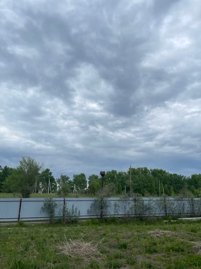 The image depicts a scene in Verkh-Katunskoye, Russia. The sky is overcast with striated gray clouds. A metal fence runs horizontally across the middle ground of the image, separating a grassy area in the foreground from a line of trees behind it. Sparse vegetation grows directly adjacent to the fence. Some trees are interspersed along the fence line. In the distance, additional trees and possibly utility poles are visible. The angle suggests the photo was taken with the camera held in portrait mode and then rotated.