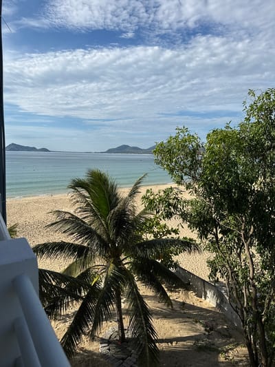 The image depicts a beach scene in Song Cau, Vietnam, viewed from a slightly elevated position, likely a balcony or railing visible in the foreground. The scene is dominated by a calm, turquoise ocean meeting a golden sand beach. In the background, several islands or large hills rise from the water, creating a scenic backdrop. The sky is a bright blue, dotted with white, puffy clouds.
In the foreground, a prominent palm tree with lush green fronds extends into the frame, its trunk visible near the bottom right of the image, partially obscured by shadows and some stacked stones at its base. To the right, a dense green tree with many leaves partially covers the view of the beach and the sea.
The beach itself appears largely empty, with gentle waves lapping at the shore. The sand shows some textures and shadows from the vegetation and structures. A low, concrete wall runs along the edge of the sand, casting distinct shadows. No people are visible in the frame. The overall atmosphere is tranquil and suggests a beautiful, sunny day at the coast.