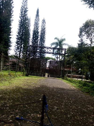 The scene depicts an outdoor entrance or pathway in the city of Namthoung, Laos. A dark, textured paved path, appearing to be cobblestone or asphalt, extends from the foreground toward a partially open, two-panel wooden gate. The gate, constructed of weathered vertical planks, is situated beneath a prominent dark metal or wooden overhead framework with a diagonal cross-hatch design. Wire mesh fencing, possibly topped with barbed wire, runs along both sides of the paved path, bordering areas of green grass and light undergrowth. Numerous tall, slender evergreen trees, resembling cypress or pine, are visible on the left side and in the background behind the gate. A broader palm-like tree is present behind the gate near the center-right, with additional dense green foliage on the far right. Distant structures with reddish-brown tiled roofs are partially visible through the trees and fencing on both sides of the gate. The sky is bright white, suggesting an overcast day or strong backlighting. In the immediate foreground, a dark vertical object, possibly a stake or post, is present slightly left of center, with blue cord or rope wrapped around its base and extending onto the ground. A dark chain or similar material is also visible horizontally in the lower left portion of the path. No individuals are depicted.