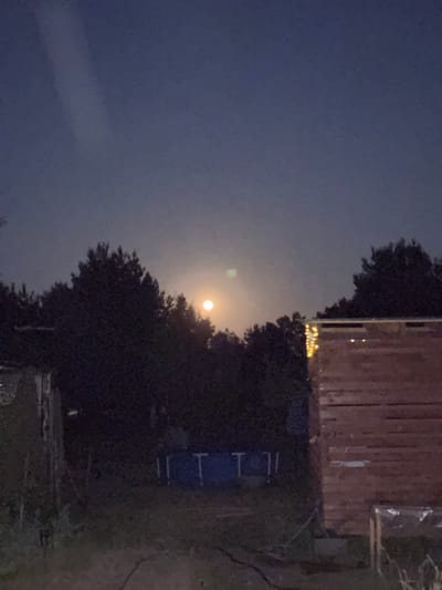 A nighttime outdoor scene in Ганчарскі сельскі Савет, Belarus, features a clear, dark sky with a bright full moon positioned above a dark line of trees. To the right, a wooden structure with a reddish-brown horizontal plank exterior is visible, adorned with a string of yellow lights. In the foreground and middle ground, a dark yard is sparsely populated with indistinct objects, including what appears to be a small, blue-lined swimming pool or water feature and some fencing posts. A faint trail of light, possibly from a camera artifact or a distant light source, is present in the upper left quadrant of the sky. The overall atmosphere is serene and dimly lit.