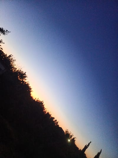 The image captures a diagonal view of a twilight sky transitioning from a pale orange near the horizon to a deep blue overhead. Silhouetted against the colorful sky is a dense line of trees and foliage, appearing dark and indistinct. A faint glow emanates from what appears to be a street lamp or light source within the trees on the right side of the frame. The overall scene evokes a sense of calm and the end of the day. The time of day is clearly dusk or early evening, indicated by the gradient of the sky. There are no visible people or text in the image. The location context is Staronizhestebliyevskaya, Russia.