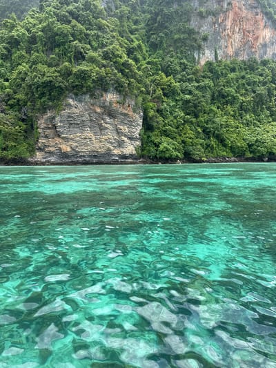 The image shows a tropical coastline with lush green vegetation covering a steep, rocky cliff face. The water in the foreground is a clear, vibrant turquoise, with visible ripples and the suggestion of underwater topography. The cliff is striated with layers of rock in shades of grey, tan, and rust. A dense canopy of trees and vines grows on the upper slopes of the cliff, obscuring much of the rock face. The scene depicts a natural, undeveloped landscape, characteristic of the coastal areas of Haad Hin Khom, Thailand. There are no people or man-made structures visible in the image.