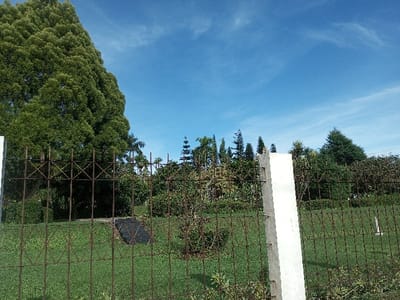 The image displays an outdoor, daytime scene in Salai Har Htan, Myanmar. A rusty metal fence, approximately 1.5 to 2 meters high, with square grid patterns and diagonal cross-bracing, stretches across the foreground. A vertical, white concrete fence post is prominently visible on the right side of the fence, with a partial concrete post on the far left. Behind the fence, a manicured green lawn extends into the midground. A dark, potentially rectangular object or stacked materials are situated on the grass in the mid-left, behind the fence. The background consists of various trees and shrubs, including a large, dense green tree dominating the upper-left portion of the frame and a line of varied foliage across the horizon. The upper portion of the frame features a clear blue sky with minimal, wispy white clouds. No people, animals, or specific actions are depicted within the scene.