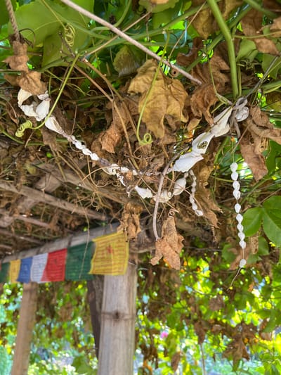 An overhead shot focuses on a section of a vine-covered structure, likely outdoors, with several prayer flags visible in the background. The foreground is dominated by dried, brown leaves and green vines, with a strand of white, seed-like beads hanging down from the foliage. The prayer flags, colorful and slightly blurred by distance, are strung along a wooden beam. The overall impression is of a natural setting with spiritual decorations, possibly in a garden or courtyard. The specific location in Karangkebagusan, Indonesia, is suggested by the presence of the prayer flags, which are commonly found in Buddhist and Hindu communities in the region.