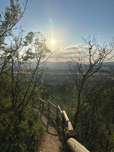 The image depicts a panoramic landscape view from an elevated position, looking down into a valley in the vicinity of Stob, Bulgaria, during what appears to be late afternoon or early evening.
In the foreground, a narrow, unpaved dirt path descends from the lower-left towards the center-right. A rustic wooden fence, constructed from raw logs, borders the right side of the path, with shadows from the fence posts and trees extending across the path. Dense green vegetation, including grass, shrubs, and young trees with newly unfurled leaves, flanks the path.
The midground is dominated by a scattering of trees, some featuring fresh green foliage, particularly on the left, while others remain largely bare-branched, especially towards the right. These trees frame the distant view, partially obscuring the valley below.
The background reveals an expansive valley containing a clustered settlement or town, likely Stob or a neighboring area, interspersed with agricultural fields. A winding road or river is visible through the valley floor. A range of distant mountains with hazy outlines forms the horizon line.
The sky in the upper portion of the image is a clear, light blue, transitioning to a warmer hue near the horizon. The sun, a bright, golden orb, is prominently positioned in the upper center-right, casting strong, warm light and producing a visible lens flare. Scattered clouds, illuminated by the low sun, are present below the sun and towards the left.
No individuals are visible within the frame.