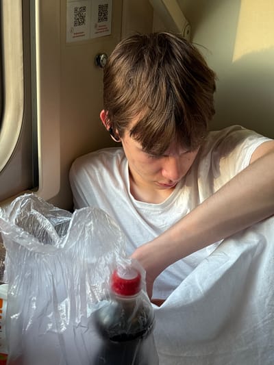 A young person with brown hair, wearing a white t-shirt, is seated on what appears to be a train compartment, indicated by the window and wall paneling. The person is looking down, with their right arm resting on their lap, partially covered by the t-shirt. In front of them is a clear plastic bag containing various items, including a dark-colored bottle with a red cap. Sunlight casts a warm glow on the person's head and shoulder, suggesting it is daytime. The environment is indoors, within a vehicle, likely a train, given the interior design. The specific location within Vyry, Russia, cannot be determined from the image alone.