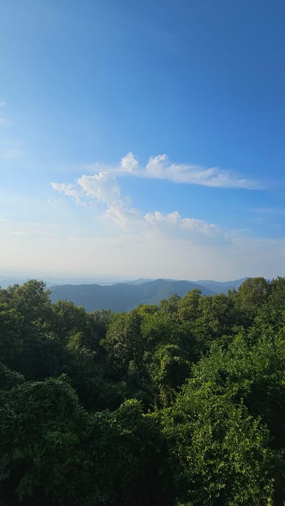 The image depicts a scenic view of rolling hills covered in lush green trees, with a clear blue sky dotted with wispy white clouds. The perspective is from a high vantage point, looking out over the landscape. In the foreground, dense foliage of trees dominates the right side of the frame, with sunlight dappling through the leaves, suggesting it's daytime.
In the distance, layers of mountains recede into a hazy horizon, creating a sense of depth and vastness. The sky takes up a significant portion of the left side of the image, exhibiting a gradient of blue from deep cerulean at the top to a lighter hue near the horizon. Scattered clouds, some appearing thin and stretched, others more defined, add texture to the sky.
The scene conveys a peaceful and natural atmosphere, characteristic of a mountainous or hilly region on a clear day. No people, objects, or text are visible in the image. The setting appears to be outdoors, possibly a park, hiking trail, or scenic overlook in a natural environment. The time of day is likely morning or afternoon, given the bright sunlight. The overall impression is one of tranquility and natural beauty.