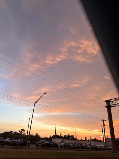 This is a medium shot, taken outdoors, of a car dealership in South Venice, Florida, United States of America, during sunset. The sky is filled with dramatic, puffy clouds tinged with pink and orange hues. Several power lines stretch across the sky, with a lamppost in the foreground on the left side of the image. Below the sky, a row of parked trucks and SUVs is visible on the dealership lot. In the background, there are trees and buildings. The overall impression is a vibrant and colorful sunset over a commercial area.