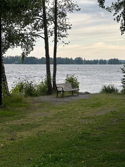 The image depicts a serene waterfront scene in Vammala, Finland. In the foreground, a well-maintained grassy lawn transitions to a gravel path leading to a wooden park bench. Behind the bench, lush green bushes and trees provide a natural backdrop. The middle ground is dominated by a calm body of water, likely a lake, with gentle ripples on its surface. In the distance, a dense line of trees forms the horizon, with hints of buildings suggesting a nearby settlement. The sky above is overcast, with soft, diffused light casting a tranquil atmosphere over the landscape. The overall impression is one of natural beauty and peaceful solitude.