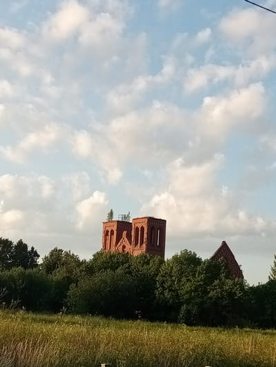 A low-angle shot captures the sky filled with scattered white clouds against a pale blue background. In the middle ground, two ruined brick towers, part of a church, rise above a dense line of green trees. The left tower has two visible archways and is topped with greenery. To the right of the towers, another section of the ruined church with a pointed roof is partially obscured by trees. In the foreground, tall, golden-brown grass and weeds extend across the frame. The scene is set in the rural outskirts of Chernyshevskoye, Russia.