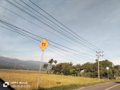 The image shows a rural landscape in Ierhobglumpang, Indonesia. In the foreground is a road with a painted white line along the edge. To the left is a field of golden rice, extending to the base of mountains in the distance. An intersection warning sign is prominently placed beside the road. Power lines stretch across the sky above the scene. A utility pole stands near a dense row of trees and other vegetation. Another signpost is visible among the trees to the right. The sky is light blue with some wispy clouds. A timestamp and phone model are superimposed at the bottom left corner of the image.