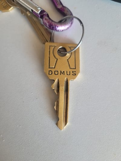 The image displays a set of keys and a carabiner resting on a flat, light grey surface exhibiting a fine, irregular texture. The specific location within the city of Ανδραβίδα, Greece, cannot be determined from the visual information provided. No individuals are present.

A brass-colored key, bearing the embossed word "DOMUS" on its rectangular head and featuring a complex bitting pattern, is prominently displayed in the center. This key is attached to a silver-colored split keyring. The keyring is connected to a purple-painted carabiner, which exhibits significant paint wear and chipping, revealing the underlying metallic silver material. A second, partially visible brass-colored key is also attached to the carabiner in the upper left quadrant. The items are stationary, with no discernible actions or interactions occurring.