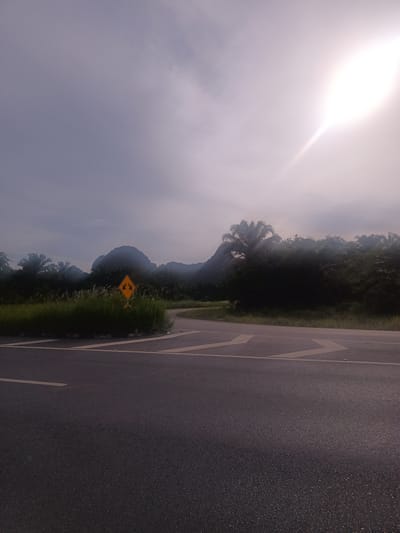 The image shows an asphalt road intersection on the outskirts of Ban Klang, Thailand, facing northeast. A yellow traffic sign with two arrows indicating directional choices is partially obscured by tall grass in the median. Behind the median, a landscape features a mix of palm trees and dense tropical vegetation, against the backdrop of a prominent, rounded mountain range shrouded in haze. The sky is overcast, with the sun positioned high and to the right, its light diffused by the clouds. The asphalt surface shows some wear and tear, with painted road markings delineating traffic lanes and directions. There are no people visible.