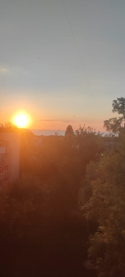 The image captures a vibrant sunset over Svitlovodsk, Ukraine. The sun, a brilliant orb of orange light, is positioned on the left side of the frame, casting a warm glow across the sky and the landscape. A thin, dark line, likely a wire, stretches diagonally across the upper portion of the sky. Numerous small, dark specks, possibly birds, are scattered throughout the sky, adding a sense of movement and life to the scene.
In the foreground, the silhouettes of buildings and lush trees are visible, partially obscured by the intense light of the setting sun. The trees are dense, creating a rich, earthy tone in the lower half of the image. In the distance, a faint line of water, likely the Dnipro River or a reservoir, can be seen meeting the horizon, hinting at the proximity to a large body of water. The sky transitions from a bright orange near the sun to a softer, pale blue towards the top, characteristic of a sunset.
The overall mood is tranquil and serene, evoking the peacefulness of the end of the day. The warm colors and the natural elements suggest a calm and picturesque setting. No visible text is present in the image. The time of day is clearly sunset. The weather appears clear, with a bright sun.