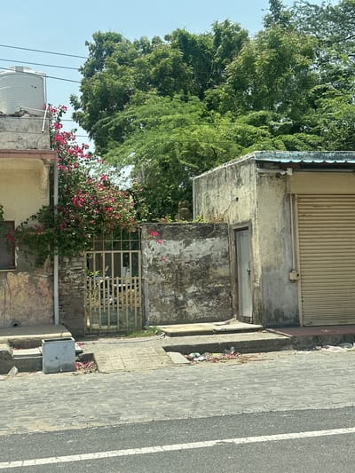 This image depicts a street scene in Ajmer, India, on a sunny day. In the foreground, a paved road with a white line marking its edge runs horizontally. Behind the road is a sidewalk made of patterned grey stones.
To the left of the scene, a building with a textured, pale yellow exterior features a covered porch. A white water tank is visible on the roof of this building. Adjacent to it, a vibrant pink bougainvillea bush is in bloom, climbing over a weathered stone wall and a decorative metal gate. The gate, made of light-colored bars, is partially open, revealing a glimpse of a motorcycle parked behind it.
To the right, a smaller, rough-textured concrete building stands. It has a light-colored door with a simple handle and a metal roll-up door or shutter painted a light beige. The walls of this building are stained and weathered, with some crumbling plaster.
The environment is somewhat cluttered, with some trash visible on the ground near the sidewalk and in front of the buildings. Lush green trees with dense foliage form a backdrop to the scene, with a clear blue sky above. The overall impression is of a somewhat neglected but lived-in urban environment.