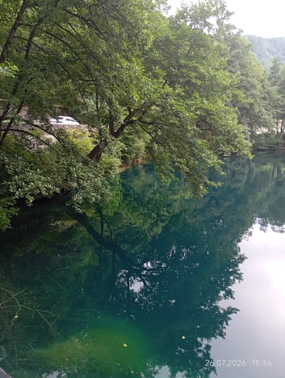 This image shows a serene natural landscape in Verkhnyaya Balkariya, Russia. A white car is parked on a road adjacent to a lush, green forest that borders a body of clear, turquoise water. The water reflects the surrounding trees and the overcast sky. The scene conveys a sense of tranquility and natural beauty.