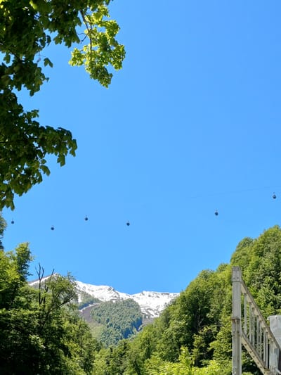 The image, rotated, presents a view upwards towards a clear, bright blue sky dominating the central frame. Stretching diagonally across the sky are multiple thin wires from which small, dark cable car gondolas (pods) are suspended, appearing as if ascending or descending. On the left side, the vibrant green foliage of tree branches with broad leaves extends into the sky, partially framing the view. On the right side, more dense green trees are visible, and behind them, a majestic snow-capped mountain rises prominently. A metal structure, likely part of a cable car station or support tower, is visible in the upper right corner, partially obscured by trees.
The scene depicts a functional cable car system in a mountainous, forested environment. No specific human activity is visible, but the presence of the cable cars suggests transportation or scenic tourism. The bright lighting indicates daytime, likely a sunny morning or afternoon, with clear weather. The snow on the distant mountain implies a high elevation or a colder season, contrasting with the lush green foreground trees. There is no visible text in the image. The location context indicates this is in Esto-Sadok, Russia, which is a known mountain resort area.