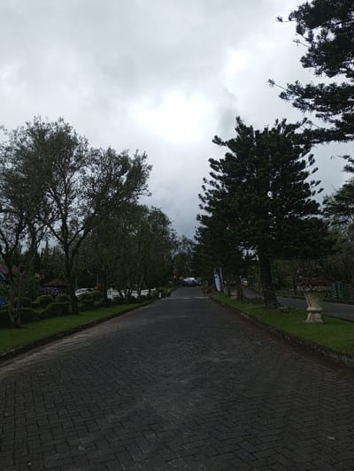 A brick road stretches into the distance, flanked by trees on either side. The sky is overcast with a bright spot in the center. Greenery lines the edges of the road, with manicured hedges and small trees on the left. Large pine trees stand on the right with decorative planters. Cars are visible parked in the distance where the road curves slightly. The scene evokes a sense of a tranquil, possibly residential area.