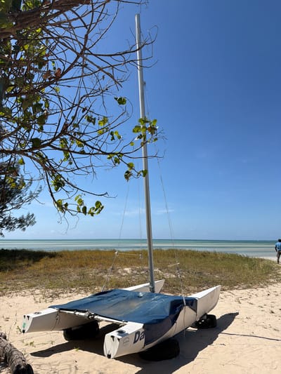 The image depicts a beach scene in Muitua, Mozambique. A catamaran is positioned on the sand, partially obscured by a tree in the foreground. The mast of the catamaran is visible, extending upwards toward a clear blue sky. The ocean stretches out horizontally in the background, with a visible shoreline of beach and grass. A person is vaguely visible in the distance on the beach.