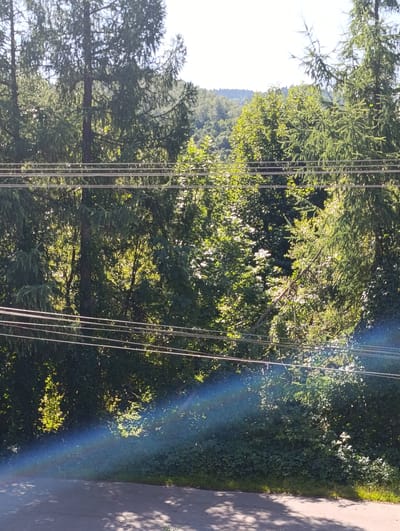 The image shows a view of lush green trees and foliage, with several horizontal power lines stretching across the frame. A faint rainbow arcs across the lower left portion of the image, illuminating the foreground asphalt road and grass. The scene is set outdoors, likely in a natural or semi-natural environment with abundant vegetation. The presence of power lines suggests an area that is populated or has infrastructure. The location is identified as Sucha Beskidzka, Poland.