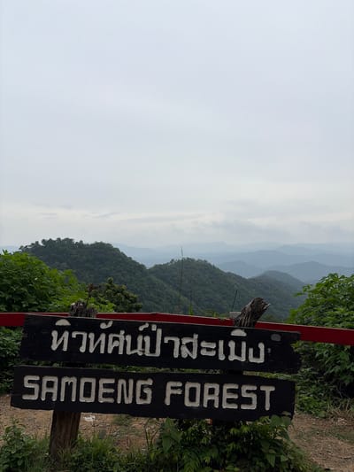 The image shows a wooden sign with white lettering in front of a misty mountain landscape. The top line of the sign contains Thai script, which reads "ห้วยศก์ป่าสะเมิง" (Huai Sok Pa Samoeng). The bottom line of the sign reads "SAMOENG FOREST" in English. The sign is mounted on two wooden posts. In the background, there are rolling green hills covered in lush vegetation, with several layers of mountains fading into the distance under a pale, overcast sky. To the left and right of the sign, there are green bushes and trees. A red railing is visible at the top of the sign. The location is identified as Samoeng Tai, Thailand.