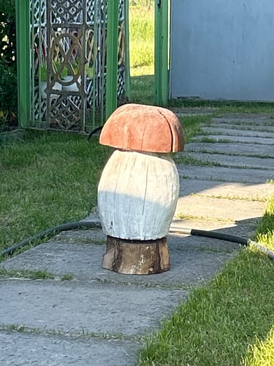 A carved wooden mushroom sculpture, painted white with a reddish-brown cap, stands on a log base on a paved pathway. To the left, a green wrought-iron fence encloses vegetation. To the right, a light blue wall is visible. The ground is covered with grass and paving stones. A dark hose lies on the pathway near the mushroom. The scene is outdoors, likely in a garden or yard.