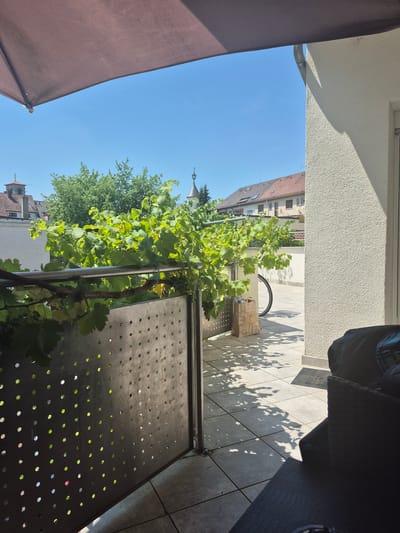 The image captures a sunny outdoor scene on a balcony or patio in Bruchsal, Germany. In the foreground, a dark-colored outdoor chair and a textured tabletop are partially visible. To the left, a metallic railing with a perforated pattern separates the foreground from a lush green grapevine that extends across the midground. Behind the railing and grapevine, a light-colored building with a textured facade is prominent, casting a shadow on the tiled patio floor. A bicycle with a brown paper shopping bag at its base is visible in the midground, leaning against the building. In the background, other residential buildings with tiled roofs and dormer windows are visible, along with mature trees. The sky is clear and blue. An umbrella is partially visible at the top left of the frame, suggesting it provides shade.