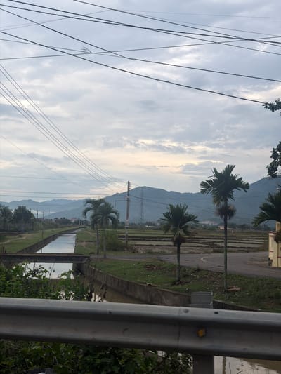 The image depicts a rural scene in Diên Lạc, Vietnam, under an overcast sky. In the foreground, a metal guardrail runs horizontally across the bottom of the frame, partially obscuring a view of lush green vegetation and a body of water. A concrete canal with water flows from left to right, crossed by a small concrete bridge. Beyond the canal, a road curves to the right, flanked by palm trees and what appear to be rice paddies. In the background, low mountains are visible under a cloudy sky, with power lines crisscrossing the upper portion of the image. Several utility poles are also present, one with a red marker. The overall impression is of a serene, agricultural landscape.