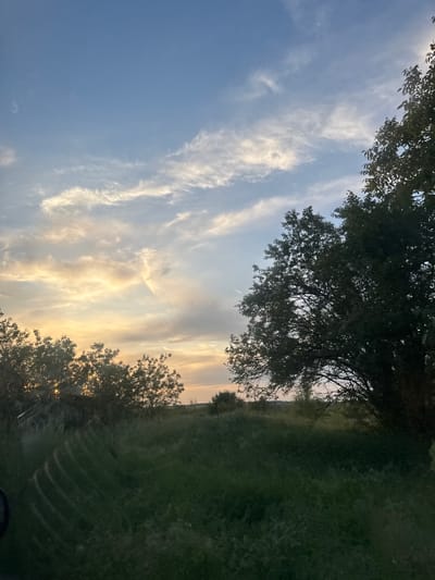 The image depicts a rural scene at dusk or dawn. In the foreground, there is green vegetation, likely a field or meadow. A line of trees partially obscures the horizon. The sky is filled with a mix of blue and golden light from the setting or rising sun, with wispy clouds scattered across it. The image is taken from a low angle, looking upwards. The exact location in Gromshin, Bulgaria is indeterminable from the visual information available. There are no people visible in the image.