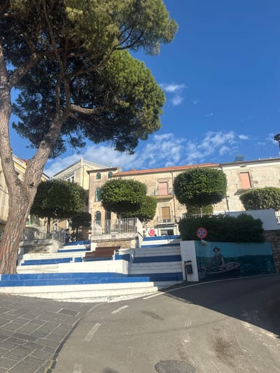 The photograph depicts a street scene in Agropoli, Italy, on a sunny day. A large tree with a thick trunk and extensive branches dominates the left side of the image. The sky is bright blue with scattered white clouds. The right side of the image shows a street with a pavement distinguished by white and blue painted stairs.

Buildings line the street with round, trimmed bushes. A mural of a fisherman in a boat adorns a portion of a building. A red and white "no stopping" sign is visible near one of the buildings. The street itself is asphalt with gray paving stones.