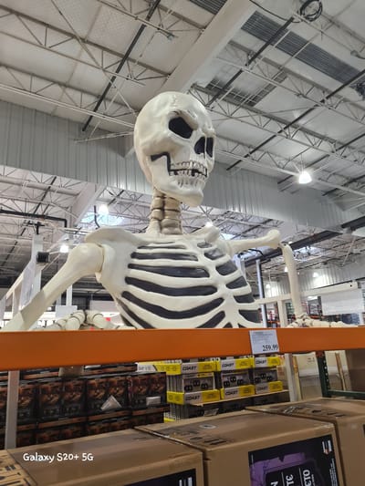 A large, animated skeleton decoration is prominently displayed in a retail store, likely a warehouse club such as Costco. The skeleton is made of white plastic with black painted ribs and appears to be positioned on a high shelf or display. It is facing forward and slightly to the left, with its head tilted. The background shows the interior of a large store, including metal ceiling infrastructure, lighting fixtures, and shelves stocked with merchandise, including boxes of batteries and other consumer goods. A price tag with "259.99" is visible on the shelf below the skeleton. The text "Galaxy S20+ 5G" is overlaid on the bottom left of the image, indicating the device used to capture the photograph. The scene is indoors, suggesting a commercial environment.