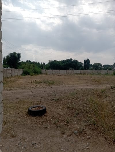 The image depicts an outdoor scene in Vostochnoe, Kyrgyzstan, characterized by a cloudy sky and a dry, overgrown landscape. In the foreground, a portion of a brick wall is visible on the left. A discarded tire lies on the dry ground, filled with soil and a few dry twigs, appearing to be repurposed as a planter. The middle ground features a flat, parched field with scattered weeds and some rocks. A concrete wall runs horizontally across the scene, separating the field from a densely vegetated area beyond. This vegetation consists of various trees and shrubs, with a prominent telephone pole visible near the center. In the distance, more trees and buildings can be observed, along with what appears to be a cell tower on the far right. The overall impression is one of an undeveloped or neglected area.